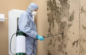 Best Commercial Mold Inspection in USA